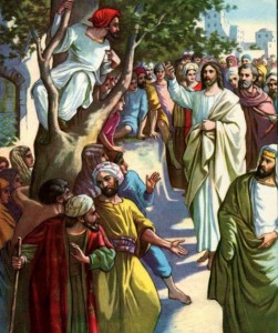 Zacchaeus in the Scyamore Tree Luke 19:2-5