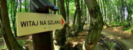 szlak