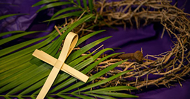 Web_Palm Sunday