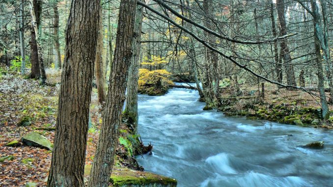 stream-ga0b489668_1920